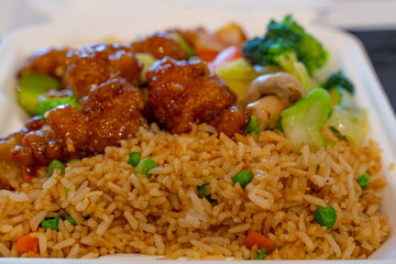 Chinese ginger chicken meal ready to eat at a food court