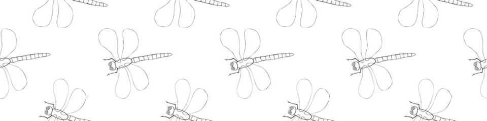 Vector seamless pattern of black outline cute dragonflies in Doodle style. Glade, forest edge. Background and texture on theme of nature, spring, summer, children print, isolated