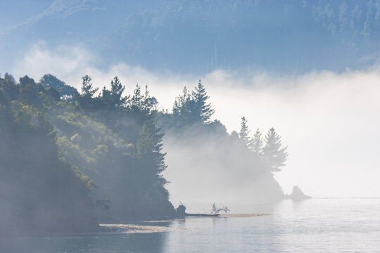 fog on the river