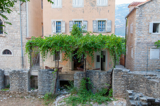 Old House In The Village Overgrown With The Vines