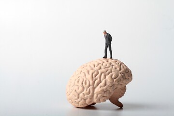 miniature figurine of a businessman on a huge human brain