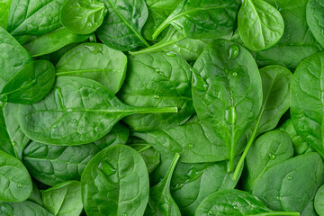 Fototapeta na wymiar Fresh organic spinach background. Healthy eating, top view.