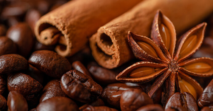 Macro shot of cinnamon and anise star on coffee bean background. © Tania