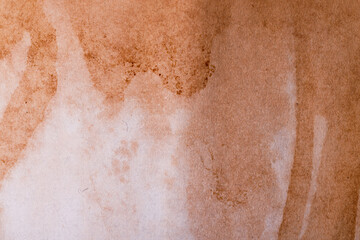 old brown paper sheet. papyrus vintage texture