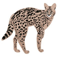 realistic wild cat illustration on white background