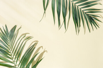 Summer minimal background with natural green palm leaves with sun shadows. Pastel colored aesthetic photo with palm plant.