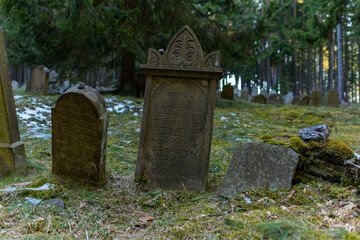 Old Jewish cemetery in the woods near the village Drmoul - Czech Republic, Europe