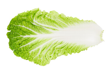 leaf of fresh chinese cabbage or napa cabbage texture isolated on white background.