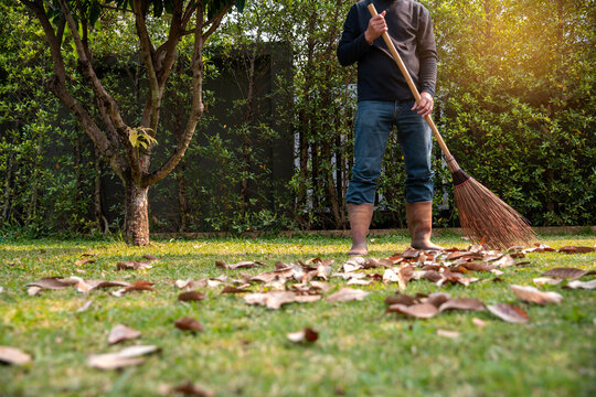 A gardener man Cleaning the lawn from dry fallen leaves.
