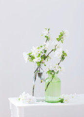 apple flowers in glass vase in white interior