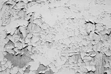 Mangy cracked paint on metal surface, background black and white