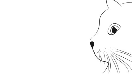 Hand drawn outline cat. Side face. Black and white vector art. Vector illustration.