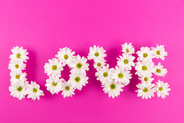 Love is written from daisies, special days
