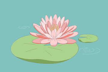 Blooming flower water lily © Erumaira