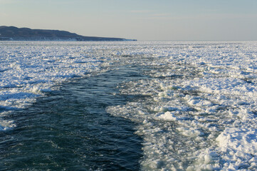 Obraz premium 一面の流氷の中を進む観光船からの景色