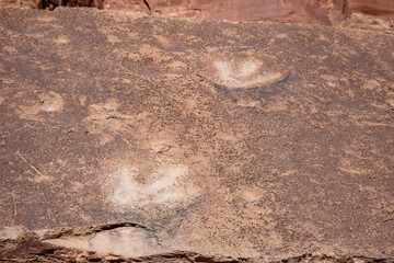 Dionsaur Tracks outside Moab, Utah, USA
