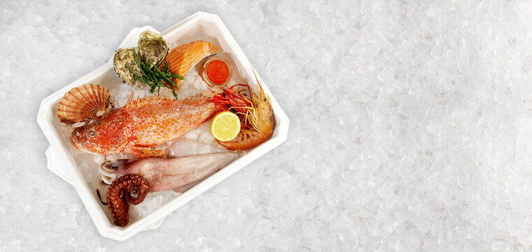 Styropor Kiste mit Fisch und Meeresfrüchten auf Eis. Fischkiste Seegras, Kaviar, Muscheln, Austern und Jakobsmuscheln Panorama