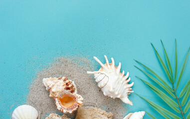 Obraz na płótnie Canvas Summer composition. tropical palm leaves, seashells on blue background. Summer concept. Flat lay, top view, copy space