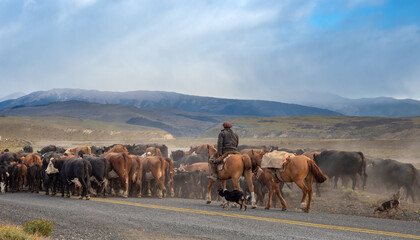 Chilean gauchos (cowboys) moving cattle across the grounds of the Torres del Paine National Park, southern Patagonia, Magallanes, Chile - obrazy, fototapety, plakaty