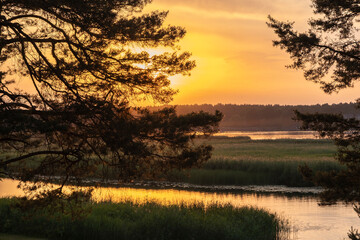 Naklejka premium Pine branches with needles on the sides and a beautiful sunset over the river. Red, golden colors of clouds and silhouette of trees.