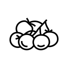 bunch tomato line icon vector. bunch tomato sign. isolated contour symbol black illustration