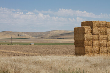 Bales of hay 