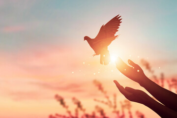 Silhouette hand of woman praying and free bird enjoying nature on sunrise and orange background...