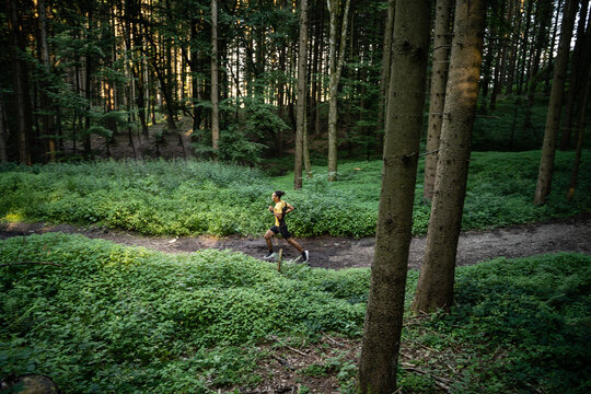Junger dunkelhäutiger Mann in Sportkleidung läuft in der Natur im Wald