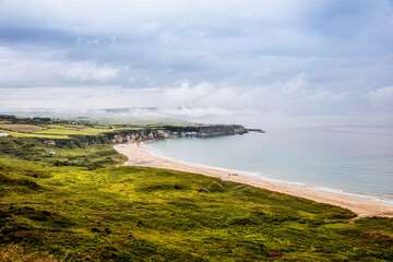 Rugged landscape in County Antrim, Ireland. Beach with cliffs, green rocky land with sheep on foggy cloudy day. Wild Atlantic Way region.
