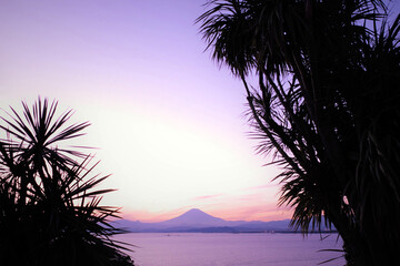 鮮やかな夕暮れの海辺から望む富士山