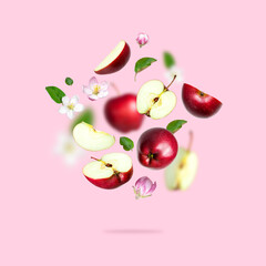 Flying red fresh apples, apple flowers inflorescences green leaves isolated on pink background. Creative concept of food, harvest. Whole ripe apples and half. Sweet summer fruit, organic natural apple