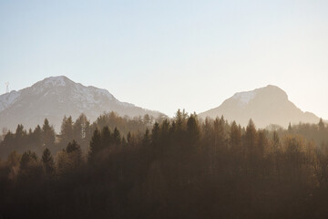 mountains in the fog