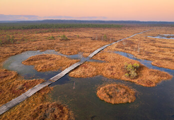 Swamp Yelnya in autumn landscape. Wild mire of Belarus. East European swamps and Peat Bogs. Ecological reserve in wildlife. Marshland at wild nature. Swampy land and wetland, marsh, bog, aerial view.