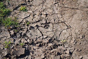 Close up of dry cracked soil 
