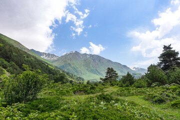 A mountain valley in the gorge of the Cherek-Balkar river in the vicinity of the Ushtulu tract. Caucasus 2021