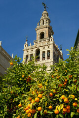 The cathedral of Seville on Andalusia in Spain