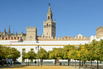 The cathedral of Seville on Andalusia in Spain