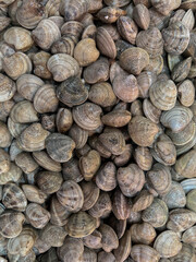 close up of a pile of dried figs