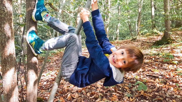 enfant grimpant sur un arbre