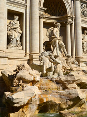 Trevi fountain in Rome
