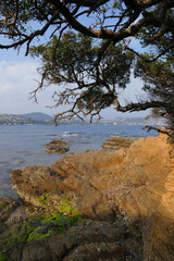 La pointe des Sardinaux - Sainte Maxime - Var