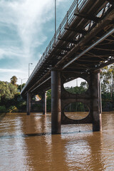 bridge over the river
