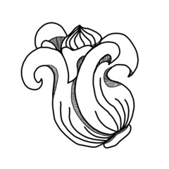 Hand drawing lineart flower izolated on whte background