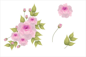 Set of pink flowers and green leaf clipart isolated
