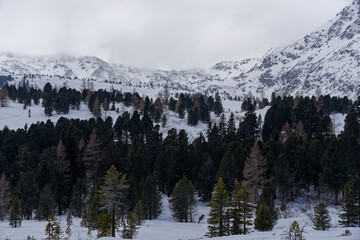 a snowy day in the austrian alps