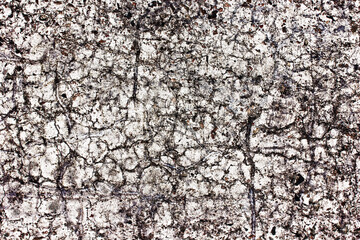 White paint asphalt cracks texture. Scratched lines background. White and black distressed grunge concrete wall pattern for graphic design. Dirty and destroyed surface. War destruction texture.