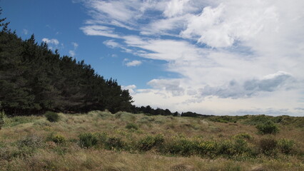 Obraz premium New Brighton Beach (Christchurch)