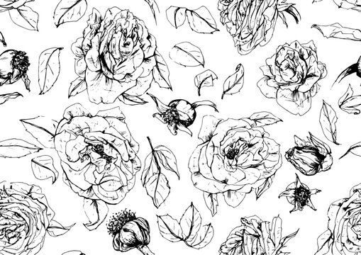 Patr&oacute;n vectorizado de flores de l&iacute;nea negras sobre fondo blanco, Rosas, ilustraci&oacute;n de l&iacute;nea en blanco y negro	