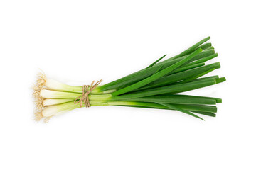 Fresh green onion or scallions or spring onion, organic vegetable tasty a bit spicies , decorate in a soup use often in asia's kitchen with solated white background and clipping path