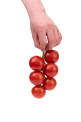 Caucasian male holding a vine full of fresh ripe red cherry tomatoes. Close up studio shot, isolated on white background.